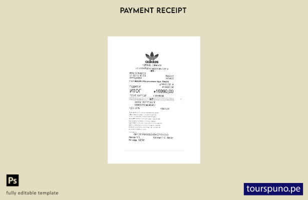 Plantilla de cheque de pago de Adidas lista para imprimir
